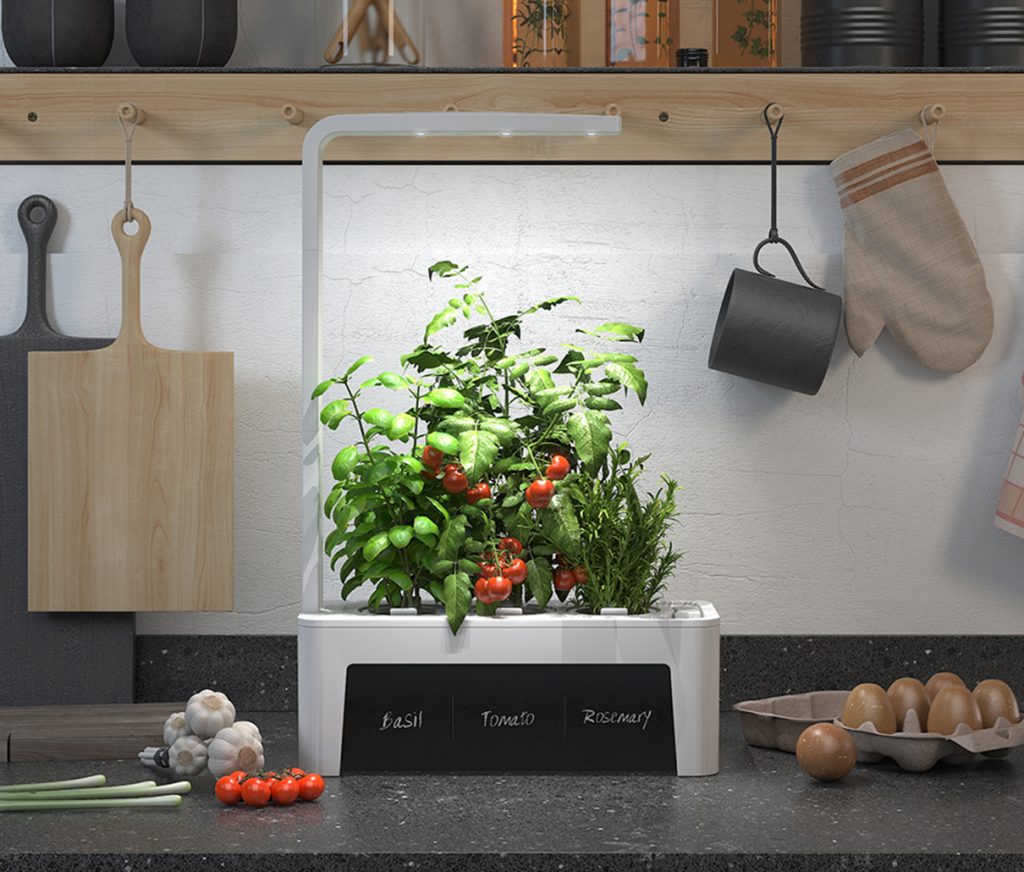 Indoor Hydroponics Garden with LED grow light and chalk board panel in the kitchen